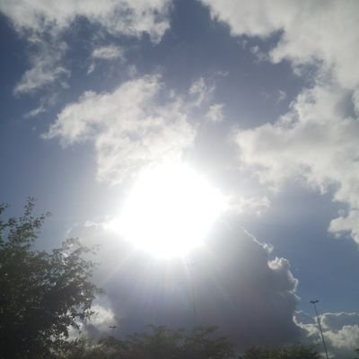 thierry95876505's profile picture. 