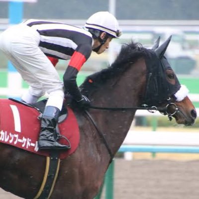 競馬関連色々。推し馬たち＝カレンブーケドール🐎クロノジェネシス🐎ナミュール🐎ラヴェル🐎アルセナール🐎レイデオロ等々… 推し騎手＝坂井瑠星J、荻野極J レイデオロ産駒を全力応援📣(RPめっちゃ多いです)