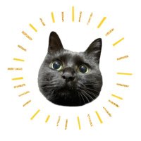 黒猫ベル🖤 (@mrsbellcat) Twitter profile photo