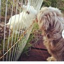 Robin Berman - @RobinBerma83251 - Twitter