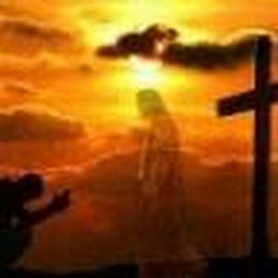 DLuis84's profile picture. 