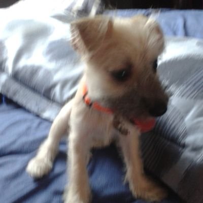 JoseLui56834164's profile picture. 