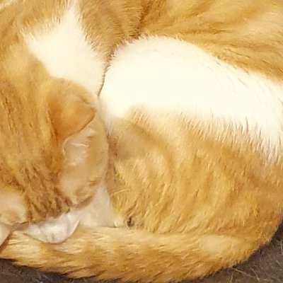 aidiebarry1979's profile picture. 