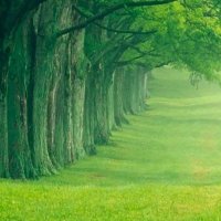 _naturalplaces_ (@_naturalplaces_) 's Twitter Profile