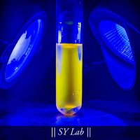 Somnath Yadav Lab ( SY LAB ) (@orgsylab) 's Twitter Profile