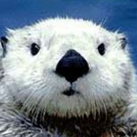 ๐ใใ
ใ็ๅ ด้ฃฏ๐๐๐ฎ๐ๅผพไธธใใขใผ (@mu_hayateeshi) 's Twitter Profile