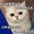 ddogz0's profile image