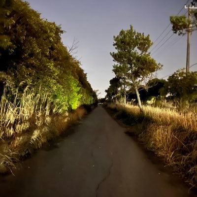 tatuotatutatu12's profile picture. TDU 23EJ