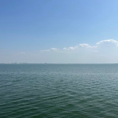 lizongs38599931's profile picture. 如果爱请深爱