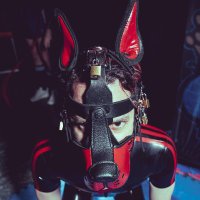 Pup Nerdy π Doggy Weekend (@thepupnerdy_ad) 's Twitter Profile
