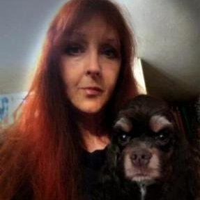 Ret RN. Art & animal lover- esp my Cocker Spaniels. Old hippie Blues & 60's music lover. Independent. Think outside the box & looking 4 humor in everything.