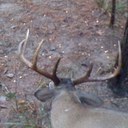 Billy Conatser - @wobb10or12 - Twitter