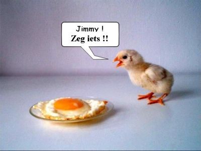 eerlijketweets's profile picture. Gestopt Follow @OmaMomentjesss