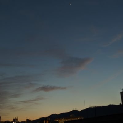 tamagon6zaresu's profile picture. 閲覧用です！