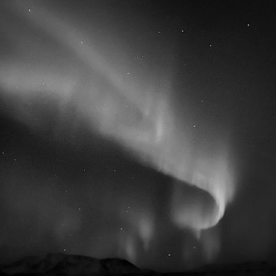 x_e_o_s's profile picture. Playing Counter Strike for THF - see my steam. 
https://t.co/9den3xyhgc