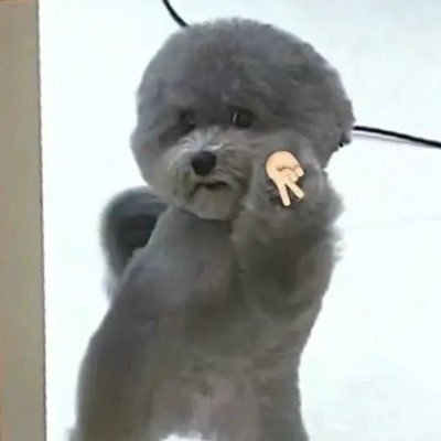 author_c64772's profile picture. 