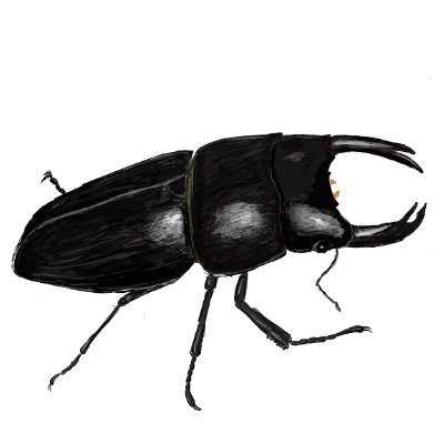 gozaruzarigani's profile picture. 山形 M3/🏸/🥎#25/蓋野球•ウイッフルボール サラマンダーズ＃12/Eintracht#10