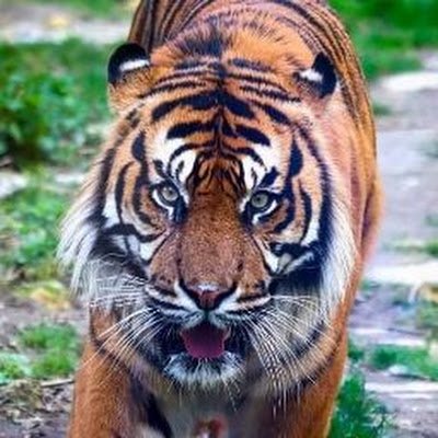 3mLogger31845's profile picture. 