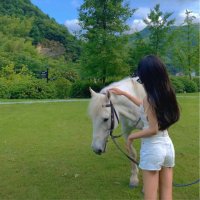 The happiness of seeing the rainbow (@kd_robi) 's Twitter Profile