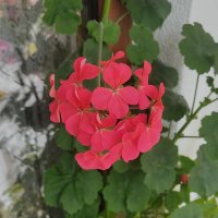 Derya🧚‍♂️ (@derya14531207) 's Twitter Profile Photo