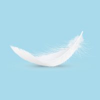 Feather Yun (@feather_yun) 's Twitter Profile