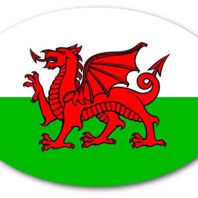 CerysLufc's profile picture. 🏴󠁧󠁢󠁷󠁬󠁳󠁿 Proud Welsh bird. Now living in Yorkshire and supporting my Leeds United dragons.🏴󠁧󠁢󠁷󠁬󠁳󠁿🏴󠁧󠁢󠁷󠁬󠁳󠁿🏴󠁧󠁢󠁷󠁬󠁳󠁿