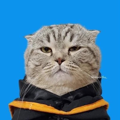 Sometimes it feels better not to https://t.co/U19tMX2f2a all.About https://t.co/UwFvqemb5q anyone..