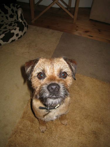 youlgrave1's profile picture. Life is not measured by the number of breaths we take, but by the number of moments that take our breath away.