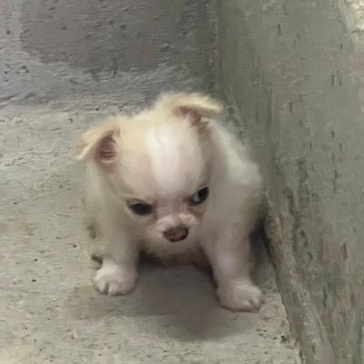 ironaeing's profile picture. 𝐿𝑒𝑡 𝑦𝑜𝑢𝑠𝑒𝑙𝑓 𝑓𝑎𝑖𝑙 𝑎𝑛𝑑 𝑡𝑟𝑦 𝑎𝑔𝑎𝑖𝑛.