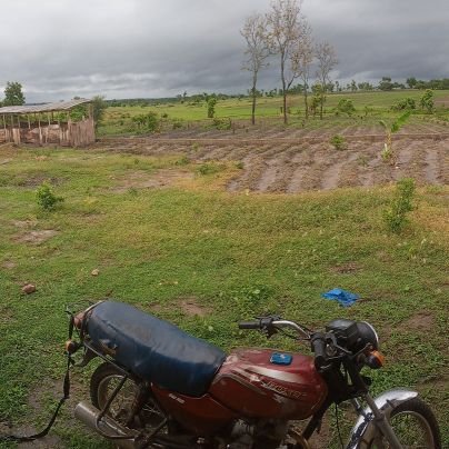 A young farmer.