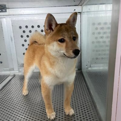 crypprivate's profile picture. The Future is Crypto🌅 |