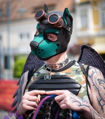 Wolf/Fuchs🐺🦊 , Photographer📸, Filmmaker🎥,
Taken/Owner from Kitkat ❤️/Closed
Owner form Chip