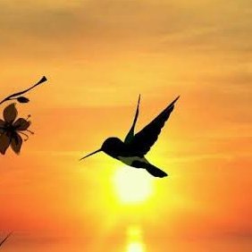 عابرون في هذه الحياة، فاترك لنفسك أثراً طيباً.
تابع 👈 @2gihaa