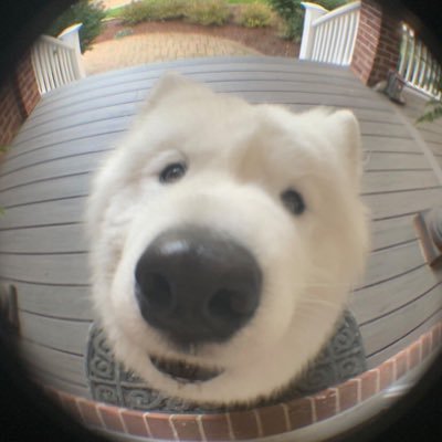 sososososohaha's profile picture. 🌷🍀🤍