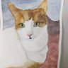 JacksonCallme's profile picture. 🐾🐾#Thumbs #INFJ🧡🐈🤍#PlasticLickers #CatsOfTwitter