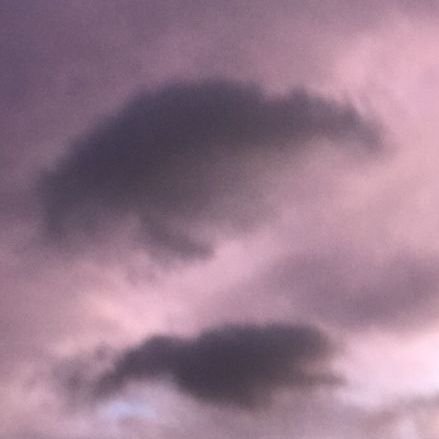 MDellaps's profile picture. Pindah Berkala Rumah ke Rumah