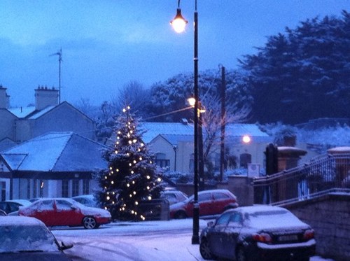 MermaidSea's profile picture. 