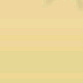 miss_meleena's profile picture. 👍🏾