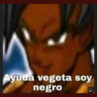 elfotocinteses's profile picture. 