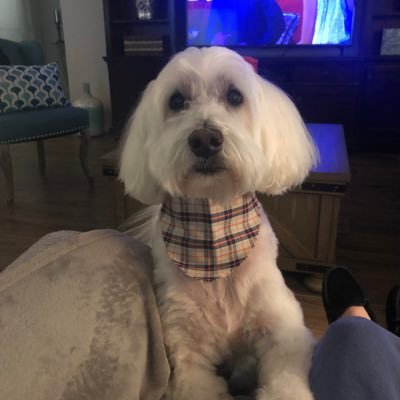 Lisa40033430734's profile picture. 