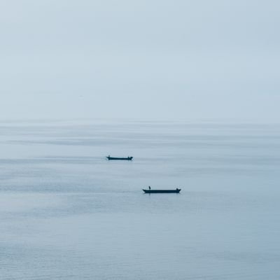 maxwell7799's profile picture. 爱好摄影📷，工作Coding👨‍💻