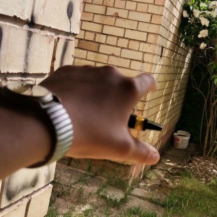 deiridas5's profile picture. 