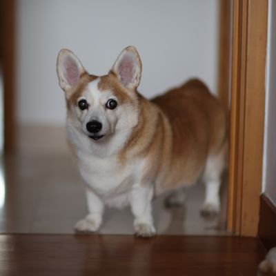 micsui's profile picture. views and opinions are my own