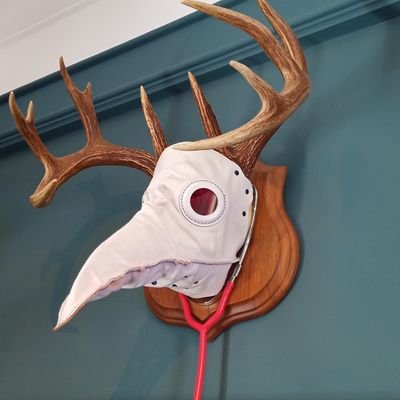 Cobaさんのプロフィール画像