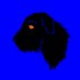 Wolfhounds (@wolfhoundsgg) Twitter profile photo Wolfhounds (@wolfhoundsgg) Twitter profile photo