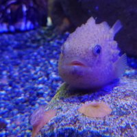 空 (@ctxf6aso3gqysbd) Twitter profile photo