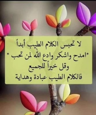 4048_man's profile picture. 