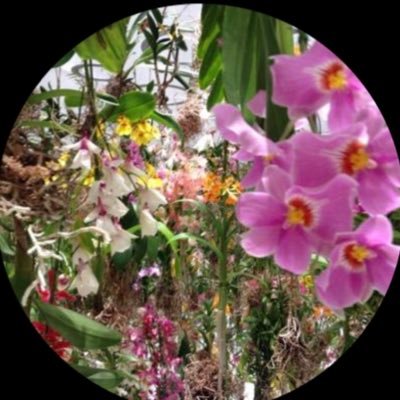 0310_63's profile picture. 韓ドラ歴4年目、ドラマはイケメンで選びガチ🫶恋愛、青春、ロマンス時代劇🫶息子は成人済み 無言フォロー🫶こちらも失礼します。リプ大歓迎✨✨気軽に声かけてください🫶ジュノ垢@63_0519