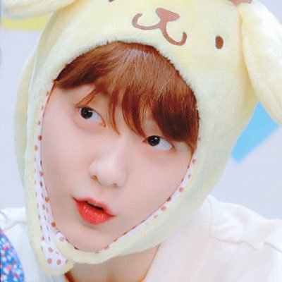 n_rcpp's profile picture. 