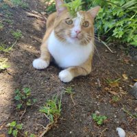 @harveycatso💜scruffa (@harveycatso) 's Twitter Profile Photo @harveycatso💜scruffa (@harveycatso) 's Twitter Profile Photo